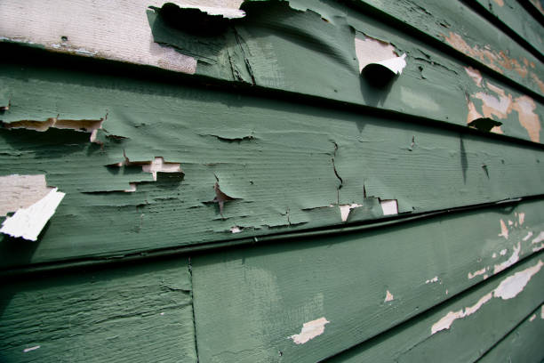 Same-Day Junk Removal Services in Charleroi, PA